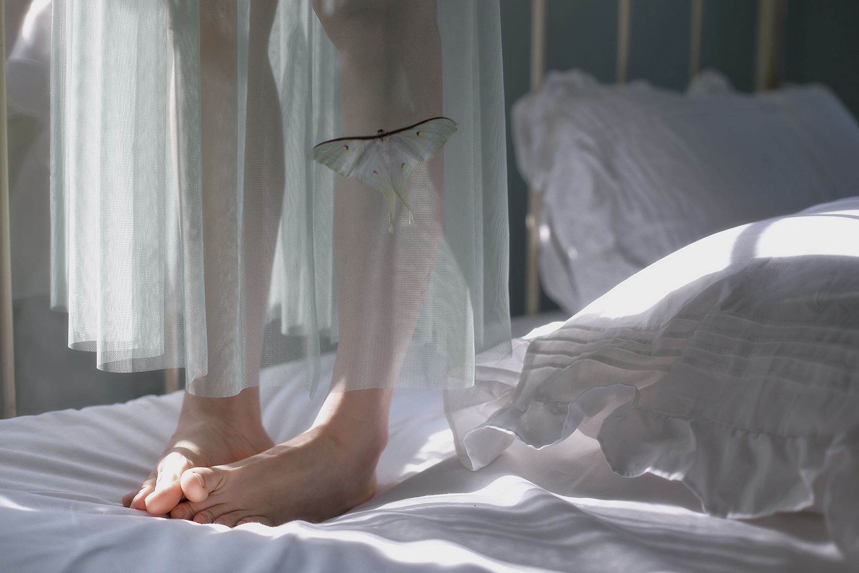 PDL潘多拉  2020.10.14 精品 No.267 光魅